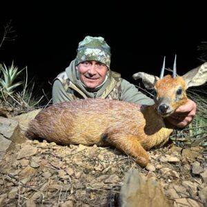 Cape Grysbuck Hunting